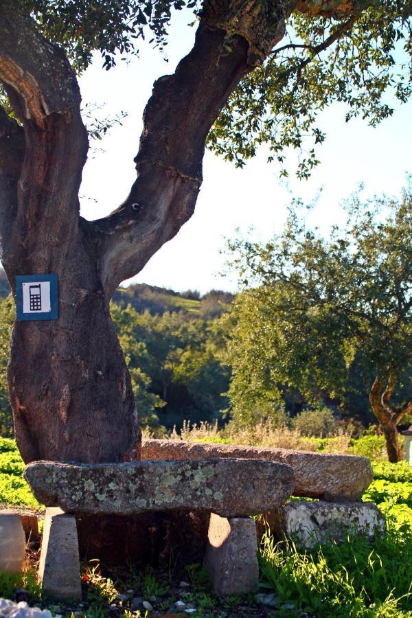 Quinta Da Utopia Каштелу-де-Віде Екстер'єр фото