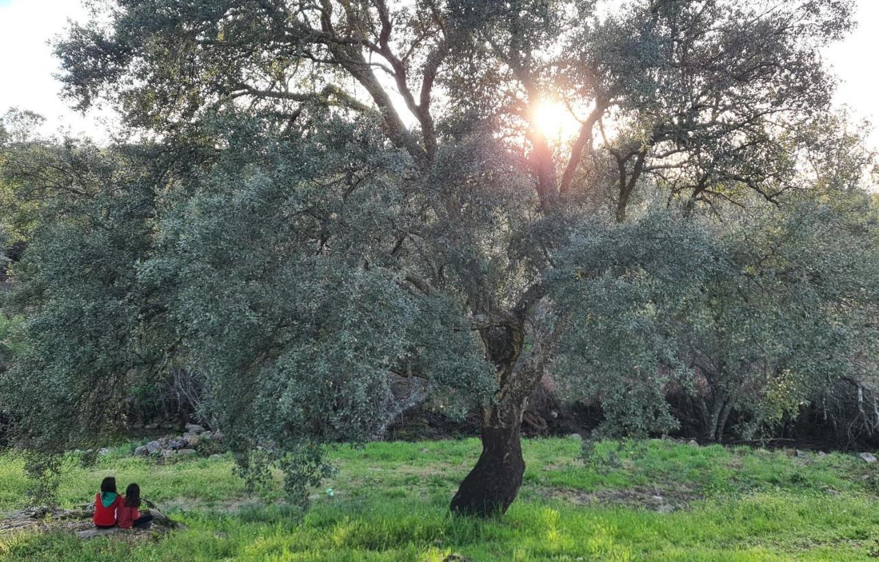 Quinta Da Utopia Каштелу-де-Віде Екстер'єр фото